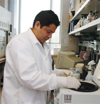 Anthony Martinez, a research
associate in Kung's lab, is part of a team at work on a molecularly targeted agent designed to thwart androgen resistance in prostate cancer by cutting off the etk pathway. Unlike traditional chemotherapy drugs, molecularly targeted agents usually have few side effects.