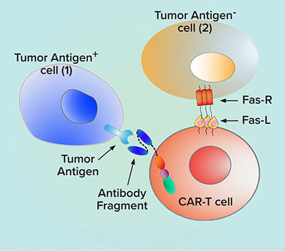 An antigen-negative tumor cell