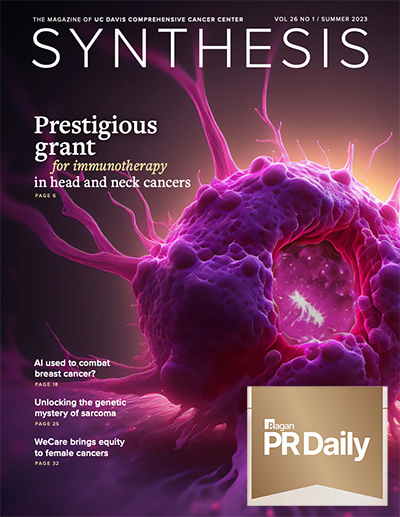 Synthesis magazine wins top industry award