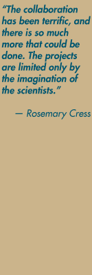 "The collaboration has been terrific, and there is so much more that could be done. The projects are limited only by the imagination of the scientists." — Rosemary Cress